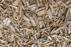 biomass boilers Catcomb