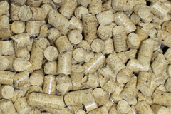 Catcomb biomass boiler costs