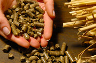 free Catcomb biomass boiler quotes